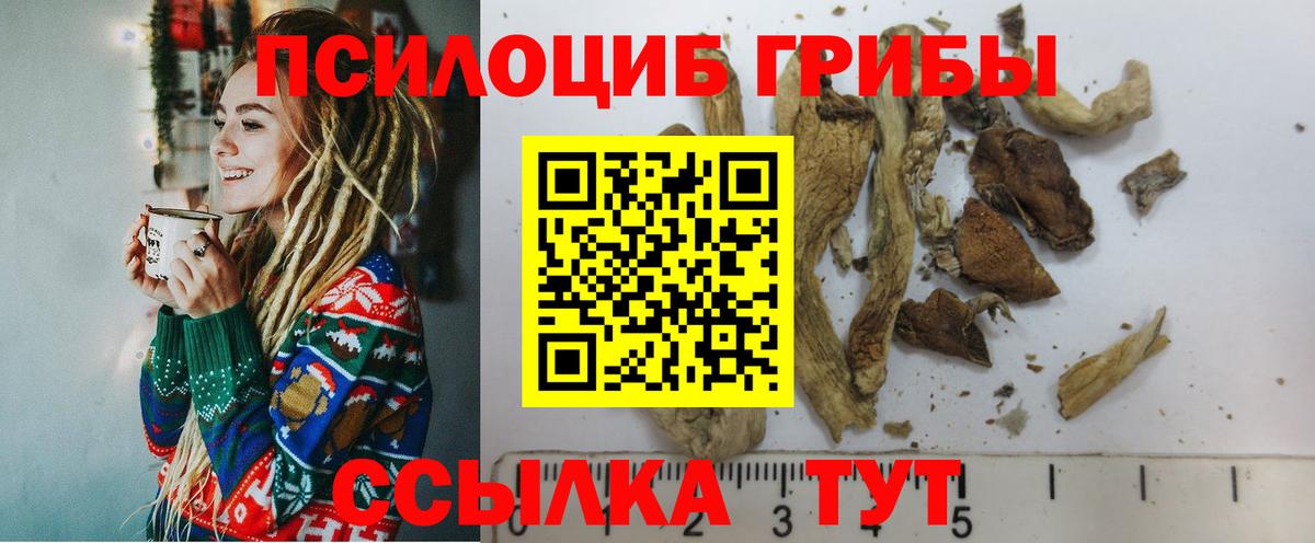 Верхний Уфалей  Псилоцибиновые грибы MAGIC MUSHROOMS  Вход с VPN 